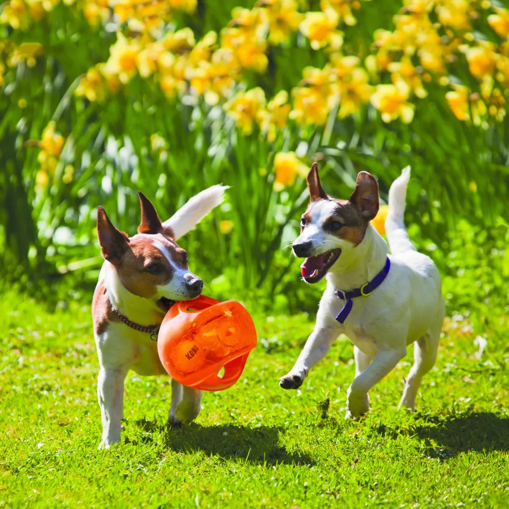20% OFF: Kong® Jumbler™ Ball Dog Toy (Assorted Colour)