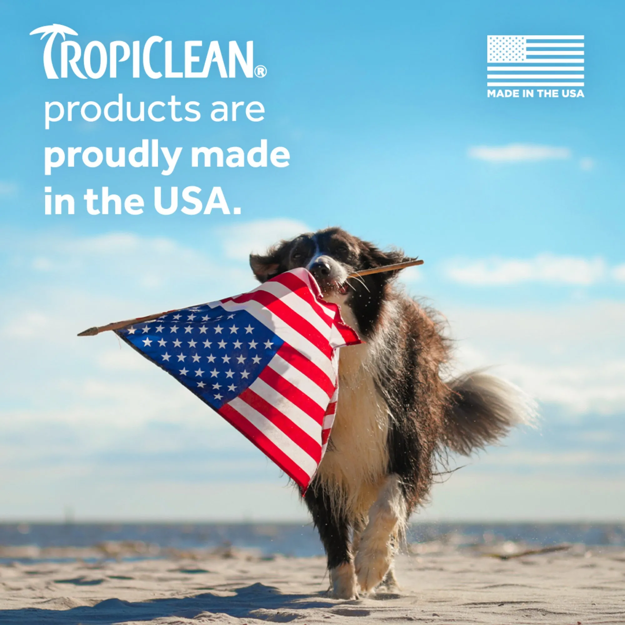 20% OFF: TropiClean Papaya & Coconut Waterless Shampoo For Dogs & Cats