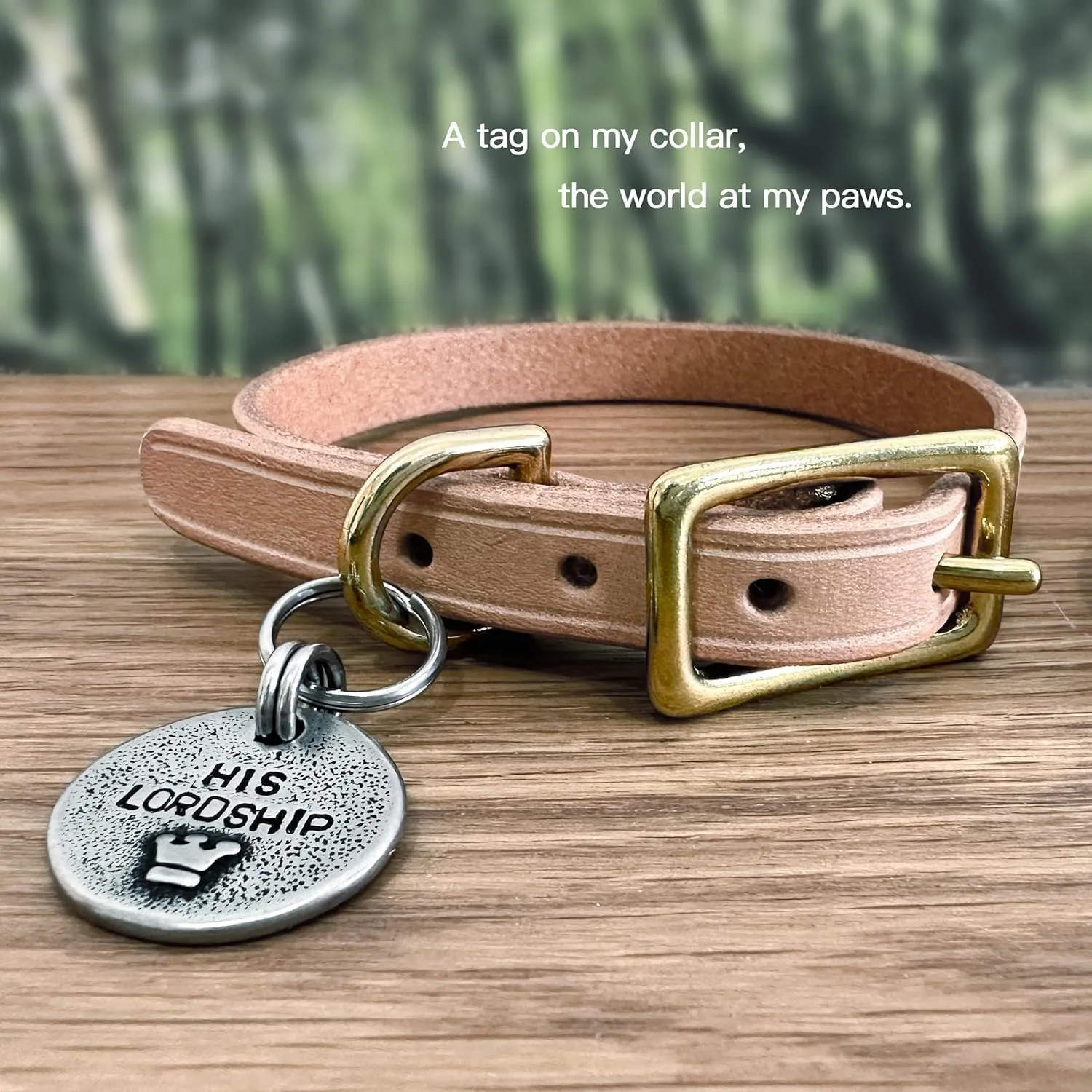 Artistic Handmade Hammered Collar Cat Dog ID Tags with Unique Handcrafted Design and Durable Stainless Steel, Personalized Deep Engraving with Your Own Text (Onepawfectdog)