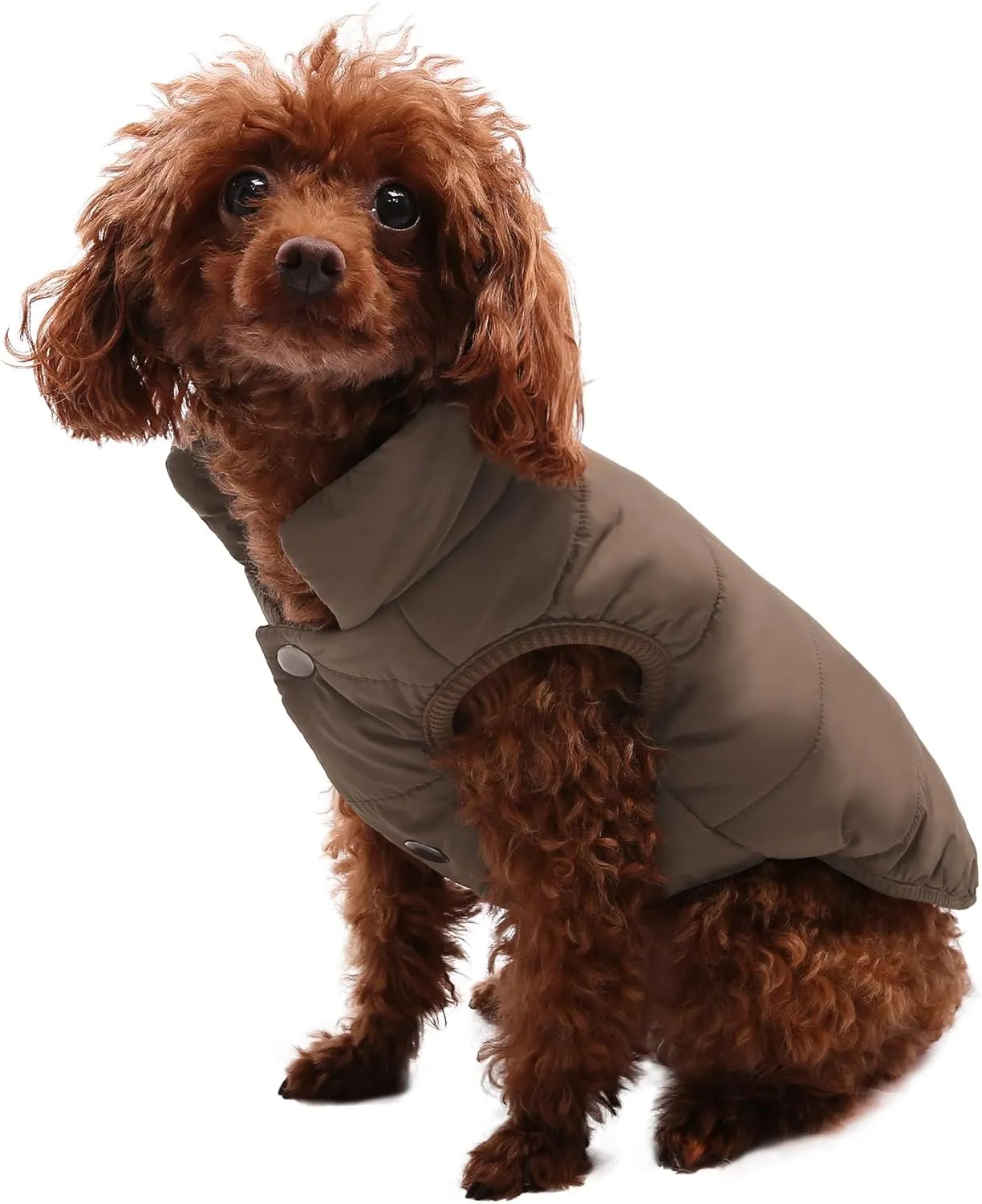 ASENKU Windproof Winter Jacket Waterproof Coat Warm Vest Cold Weather Pet Apparel With 2 Layers Fleece Lined for Small Medium Large Dogs (XS, Coffee)