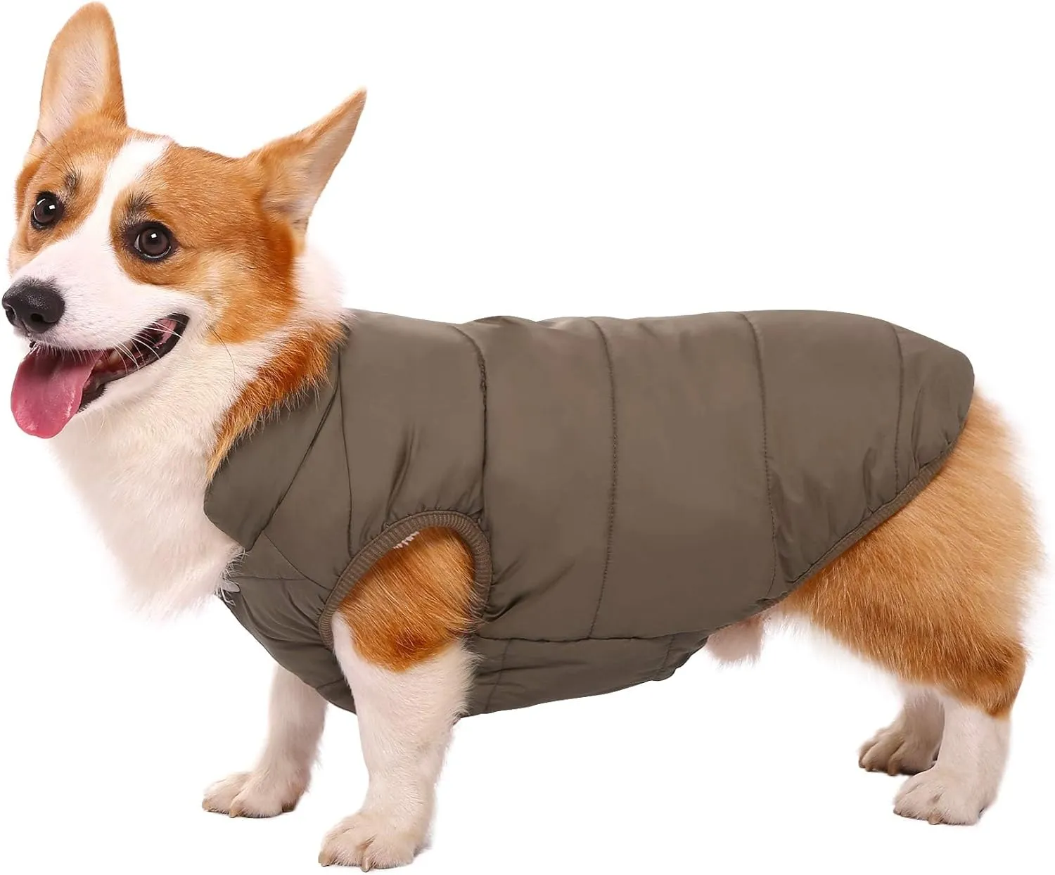 ASENKU Windproof Winter Jacket Waterproof Coat Warm Vest Cold Weather Pet Apparel With 2 Layers Fleece Lined for Small Medium Large Dogs (XS, Coffee)