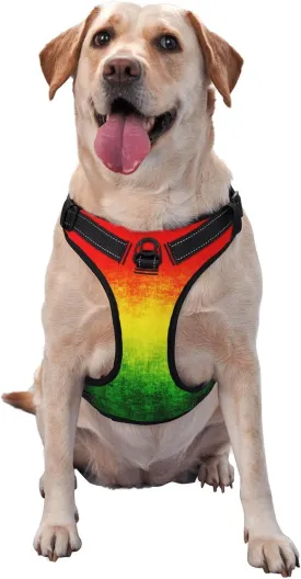 Breathable Dog Harness No Choke with Leash for Training, Escape Proof Outdoor Walking, Pull Soft Padded Vest Large Feature Rasta Grunge, Medium