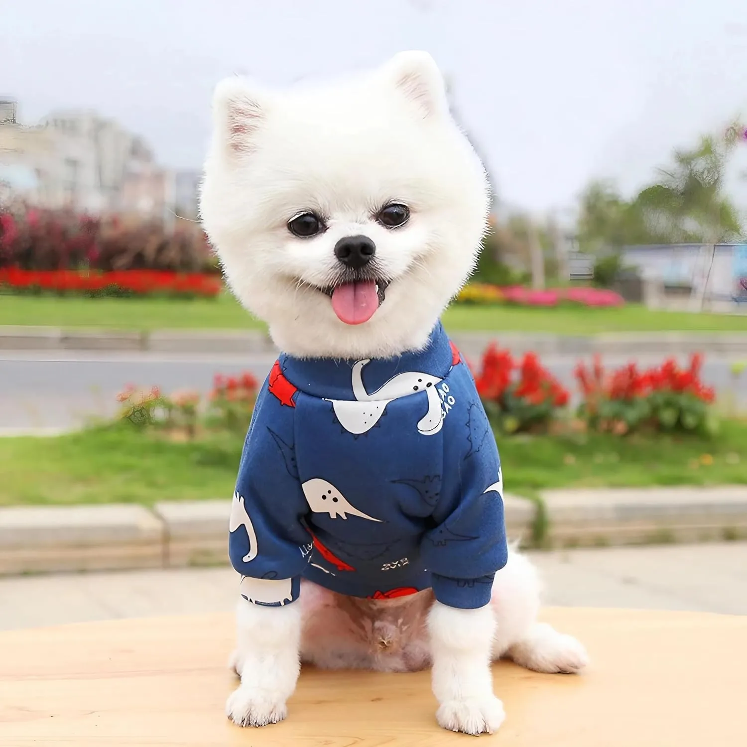 Cartoon Small Dog Clothes for Boys, Small Dog Sweater Female Cute Dinosaur Pattern Fleece Dog Sweaters Puppy Sweaters Shirts for Small Dogs Boy Frenchie Pug (M), Medium, Navy