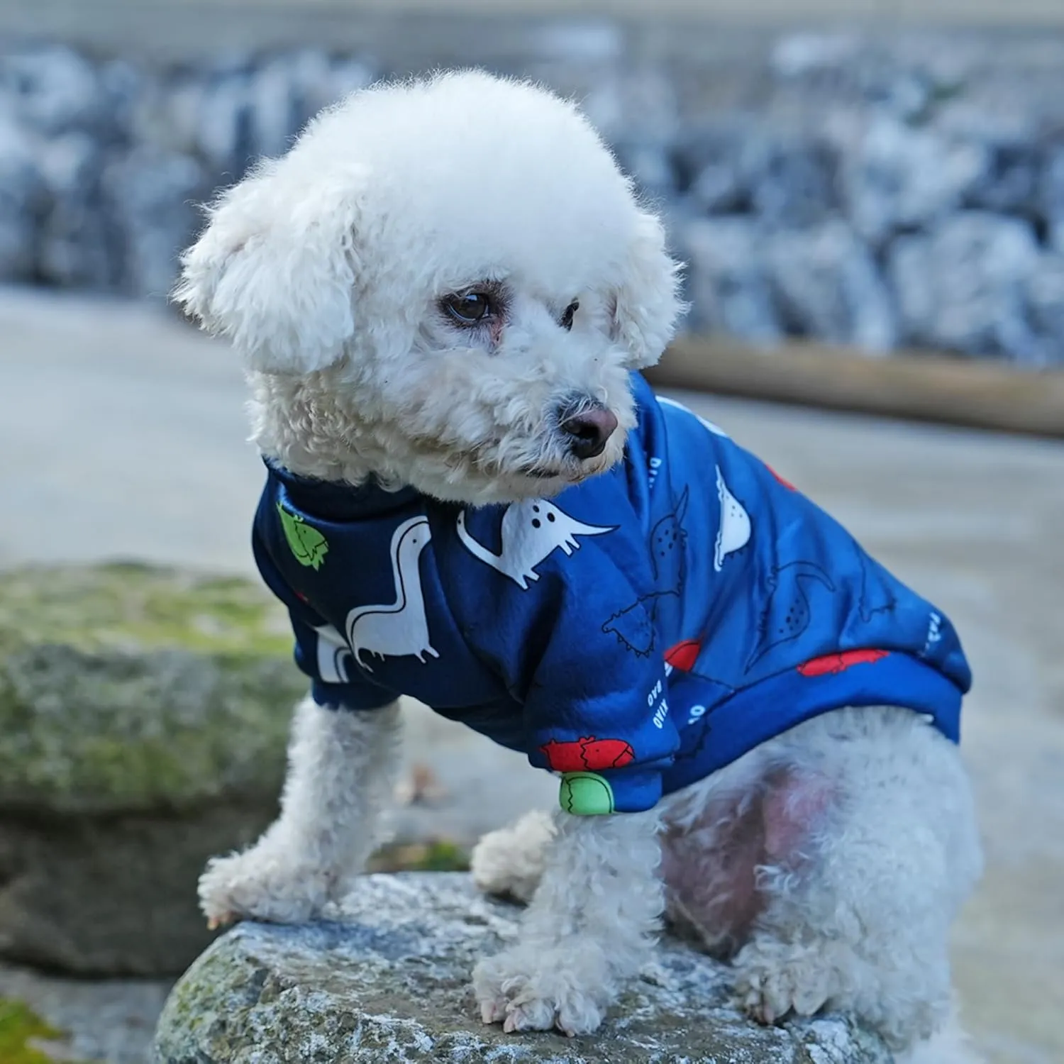 Cartoon Small Dog Clothes for Boys, Small Dog Sweater Female Cute Dinosaur Pattern Fleece Dog Sweaters Puppy Sweaters Shirts for Small Dogs Boy Frenchie Pug (M), Medium, Navy