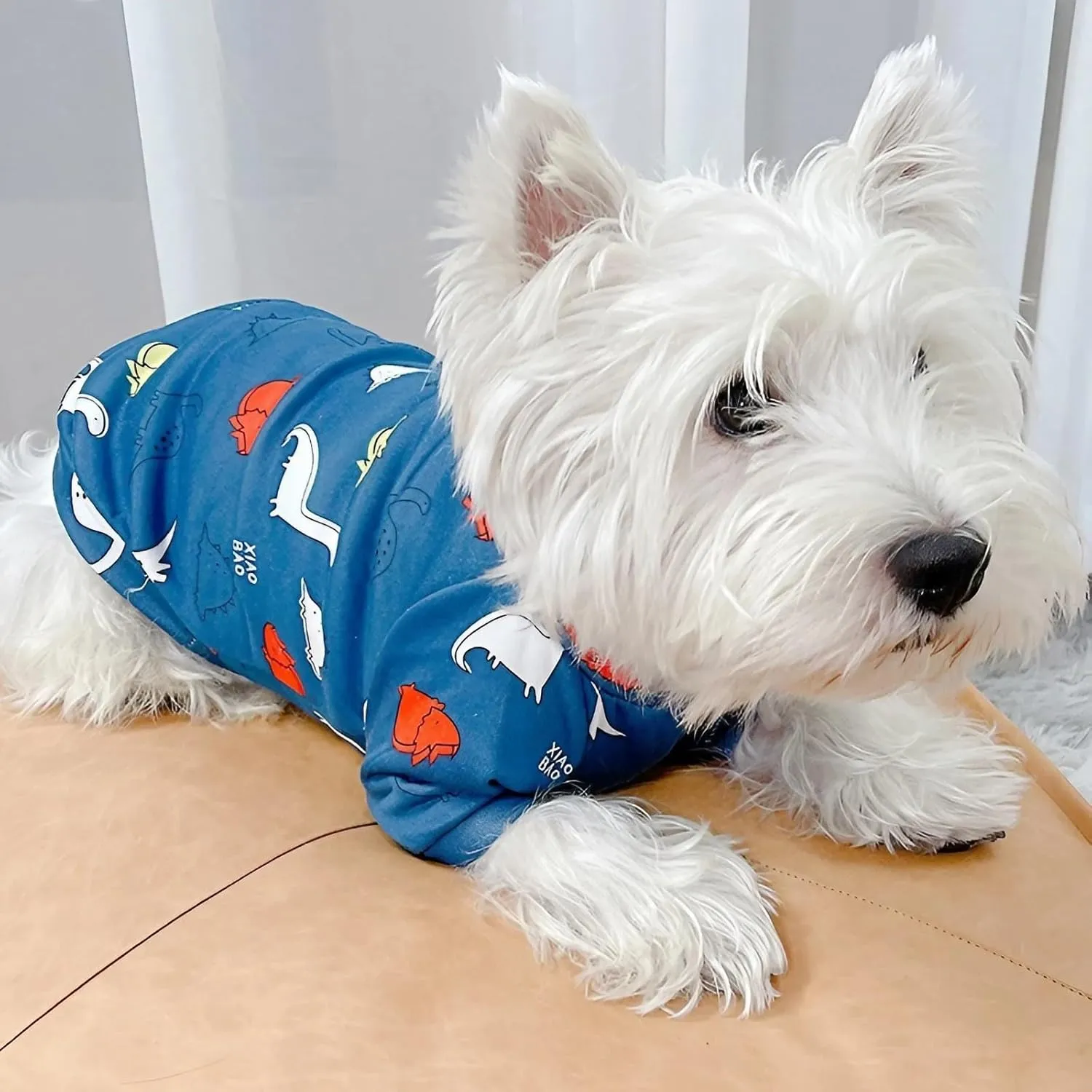 Cartoon Small Dog Clothes for Boys, Small Dog Sweater Female Cute Dinosaur Pattern Fleece Dog Sweaters Puppy Sweaters Shirts for Small Dogs Boy Frenchie Pug (M), Medium, Navy