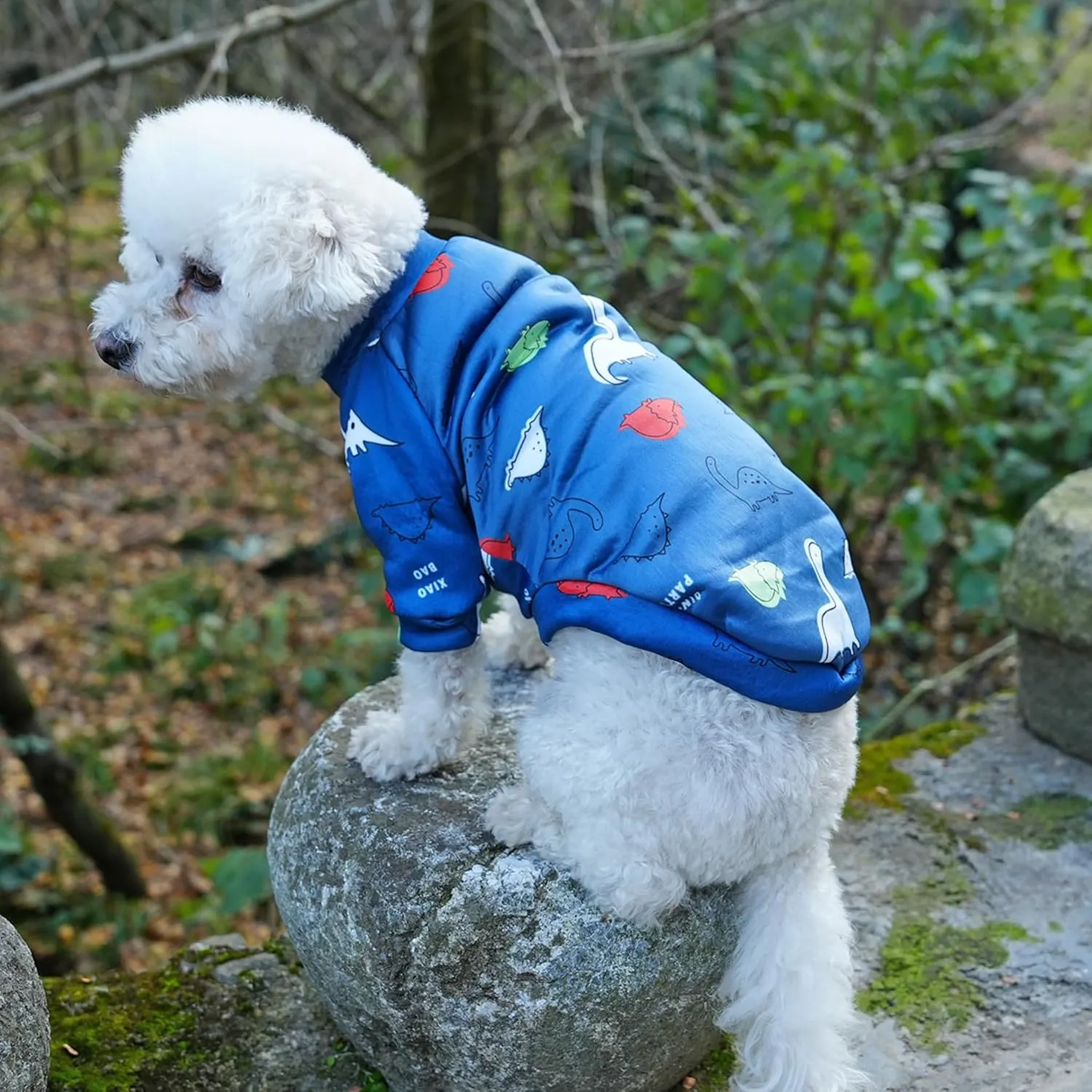 Cartoon Small Dog Clothes for Boys, Small Dog Sweater Female Cute Dinosaur Pattern Fleece Dog Sweaters Puppy Sweaters Shirts for Small Dogs Boy Frenchie Pug (M), Medium, Navy