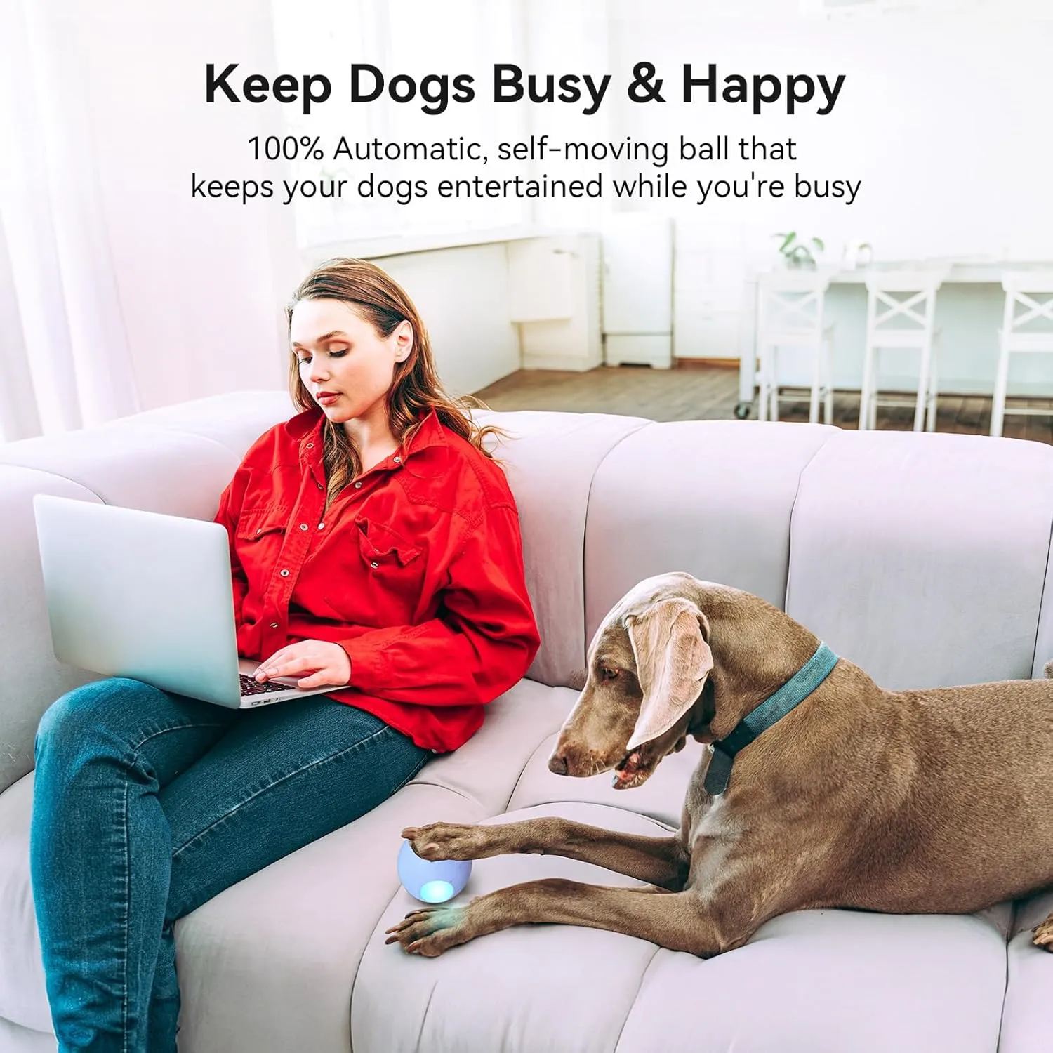 Cheerble Smart Interactive Dog Toy, Wicked Ball PE, Automatic Moving Bouncing Rotating Ball for Medium Dogs Boredom with LED Lights