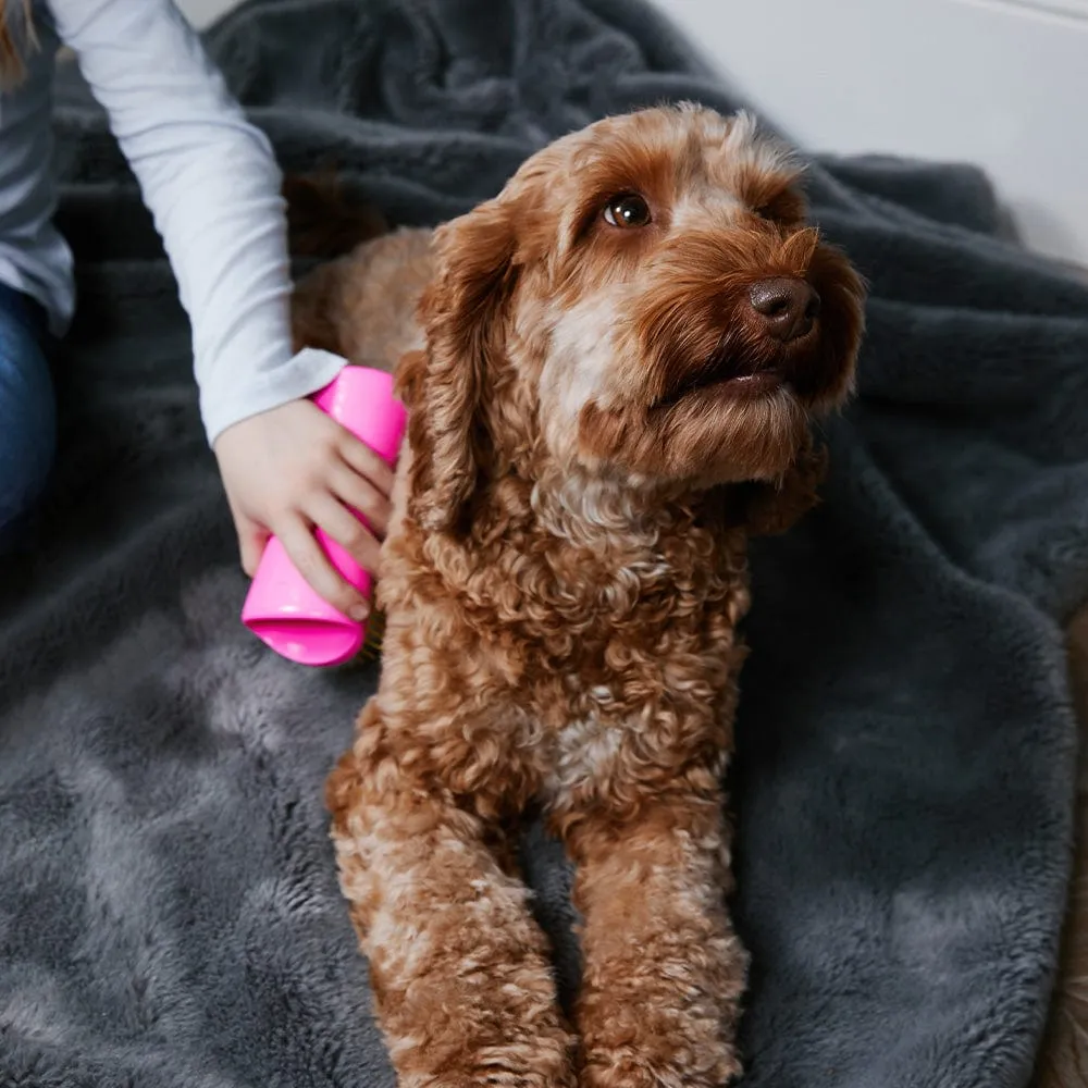 Detangling dog brush by Pet Teezer
