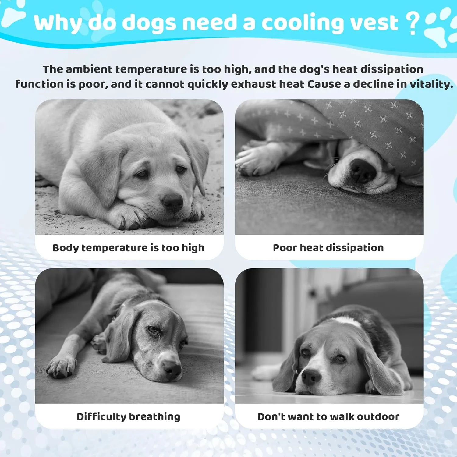Dog Cooling Vest Harness Lightweight Cooler Jacket with Adjustable Buckle, Cooling Shirt for Summer Walking, Outdoor Hunting Training and Camping.(M)