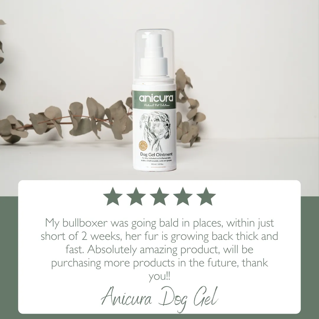 Dog Gel