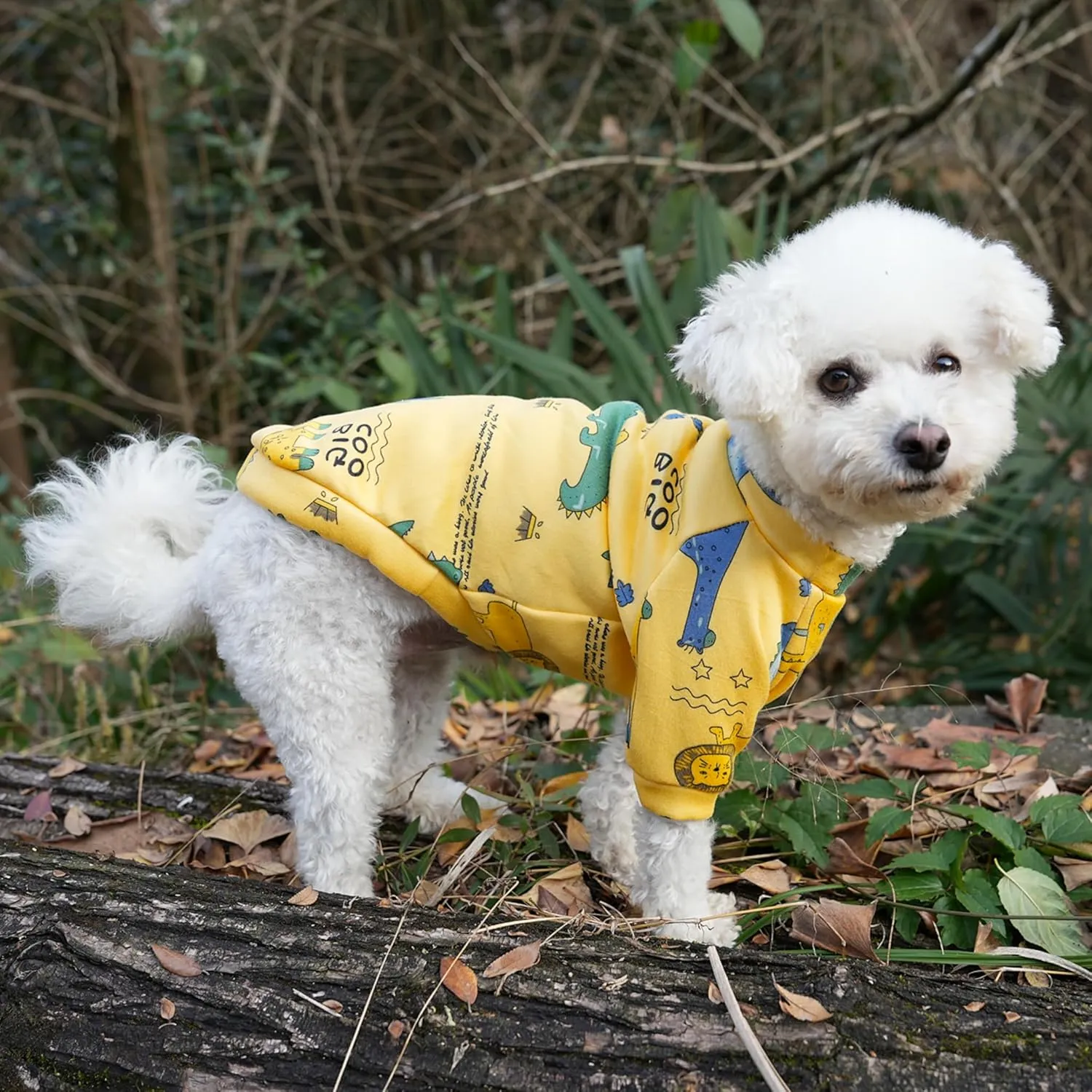 French Bulldog Clothes, Cartoon Dog Sweaters for Small Dogs Male Female, Fleece Dog Shirts for Small Dogs Clothes for Frenchie Dog Chihuahua Pomeranian Pug (Yellow,M)