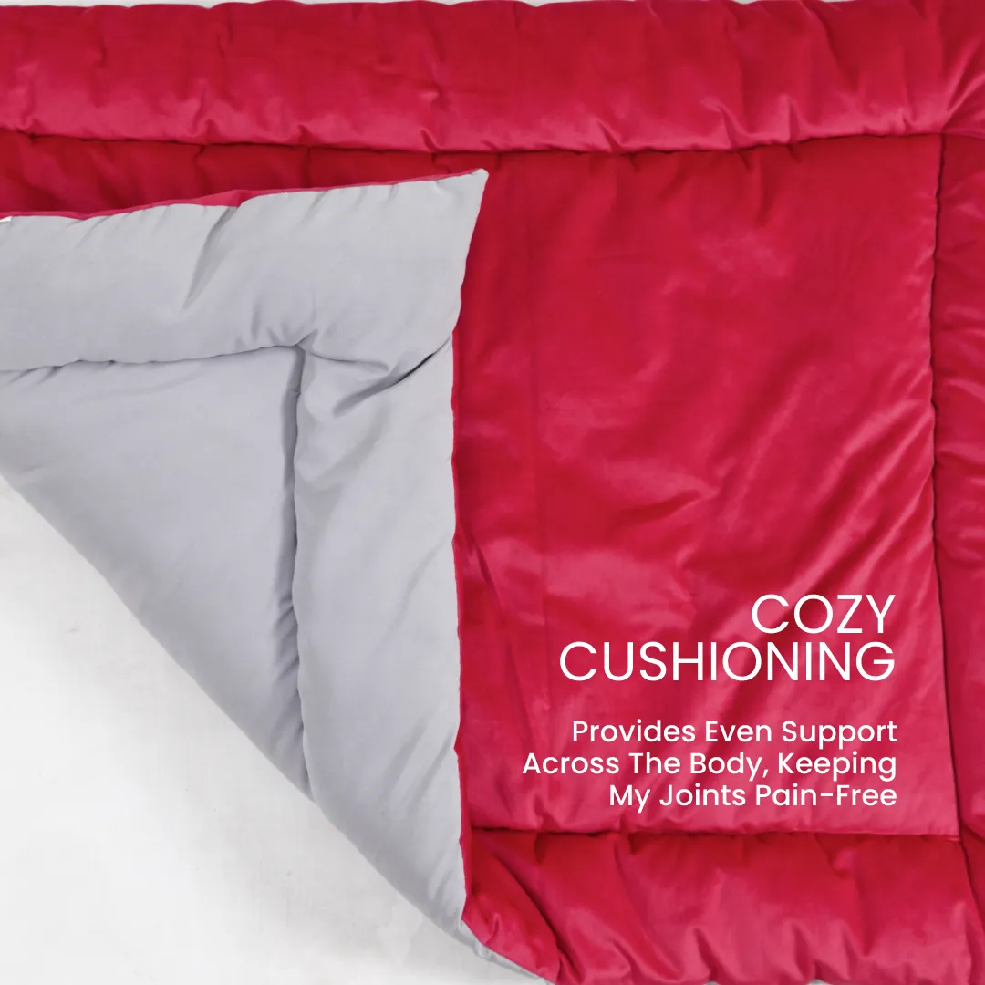 India's 1st Dog Summer Bed - Strawberry Pink