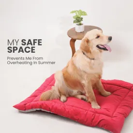 India's 1st Dog Summer Bed - Strawberry Pink