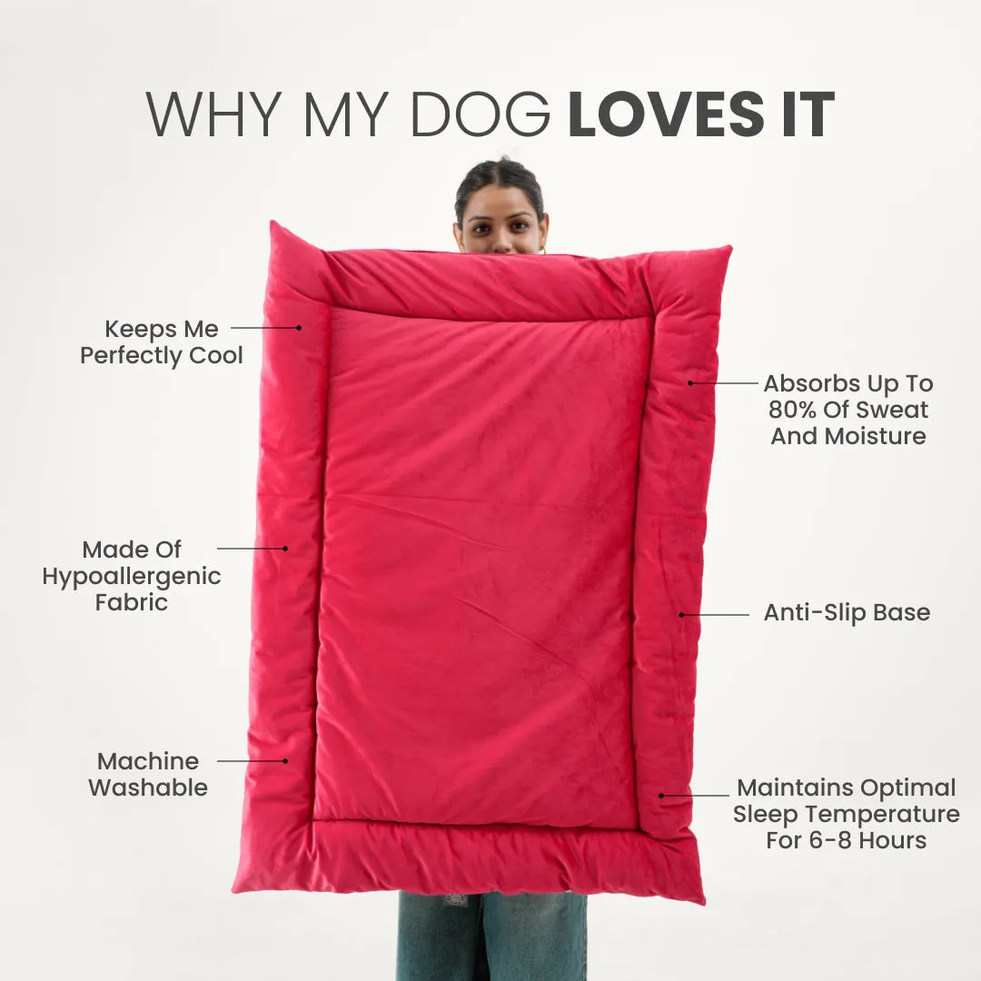 India's 1st Dog Summer Bed - Strawberry Pink