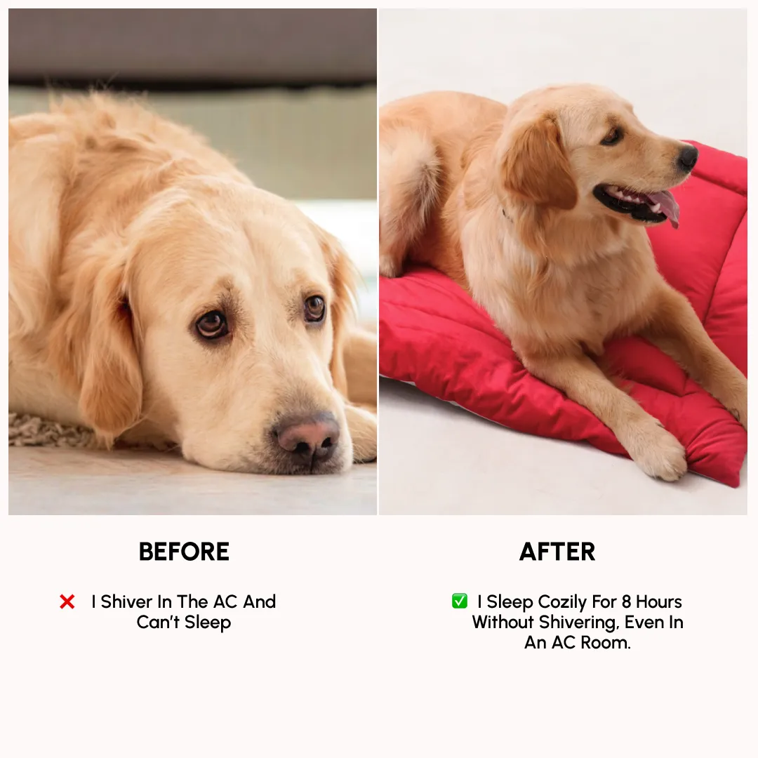 India's 1st Dog Summer Bed - Strawberry Pink