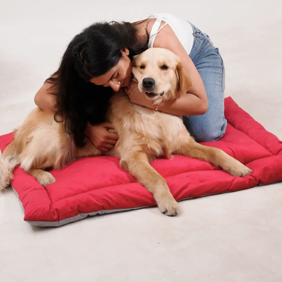 India's 1st Dog Summer Bed - Strawberry Pink
