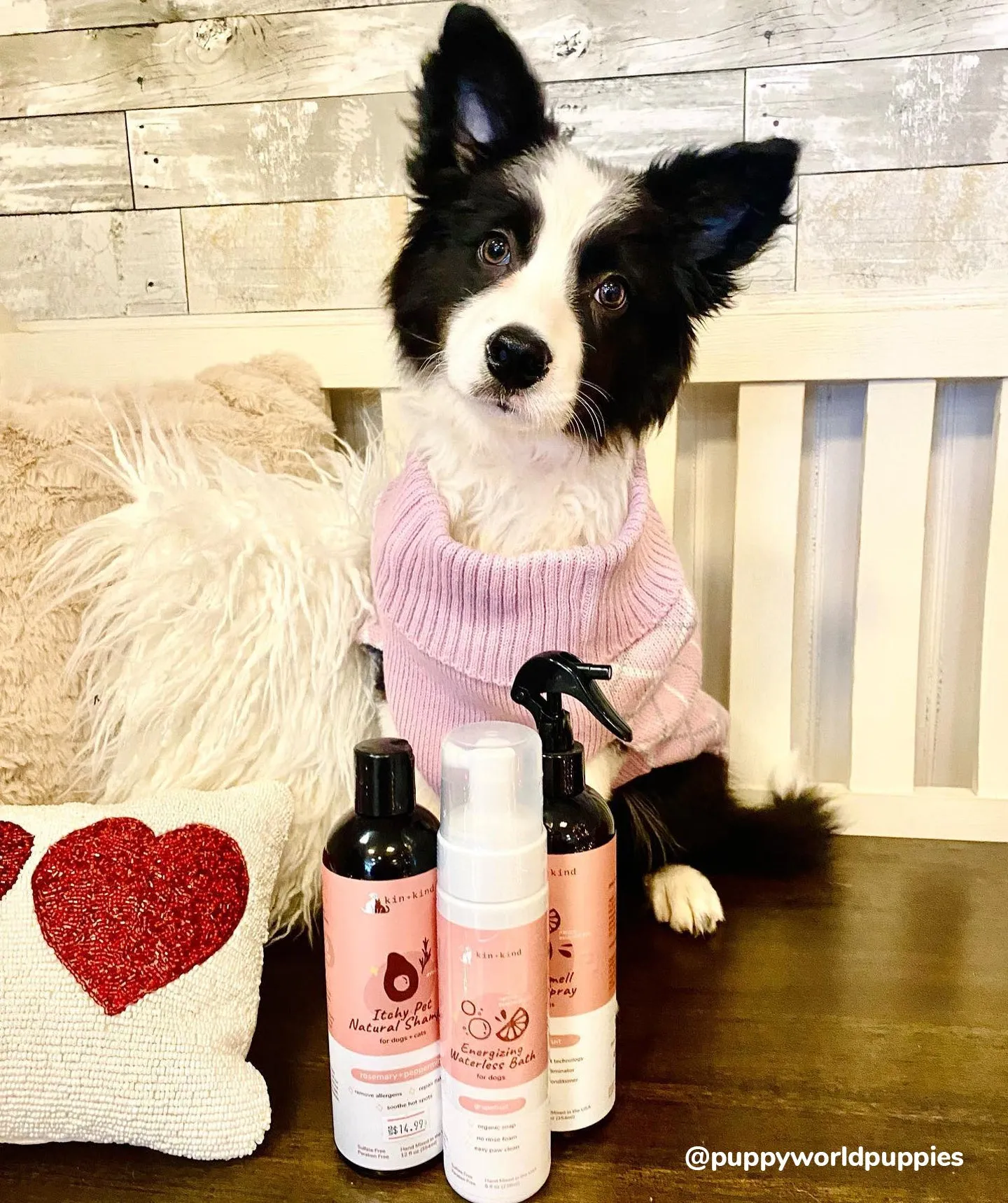 Kin Kind Energizing Natural Waterless Bath Grapefruit Dog 8oz