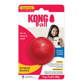 KONG Ball Dog Toy