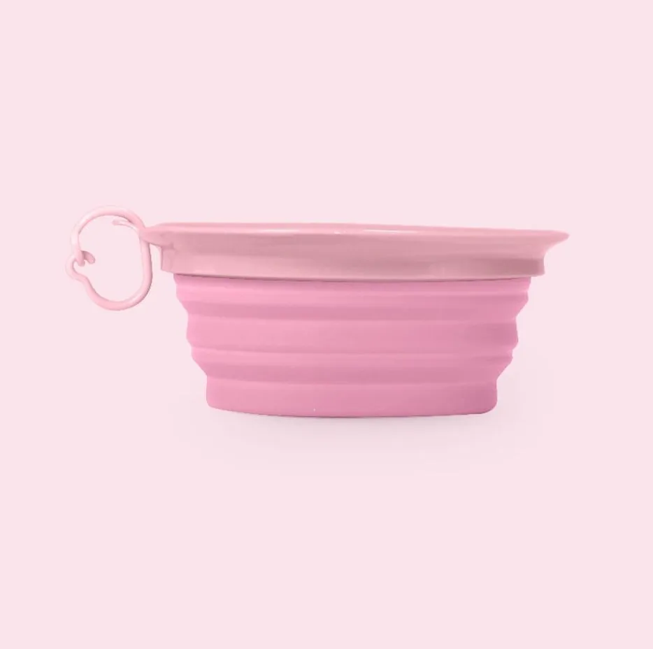 Leaf Travel Bowl Pink