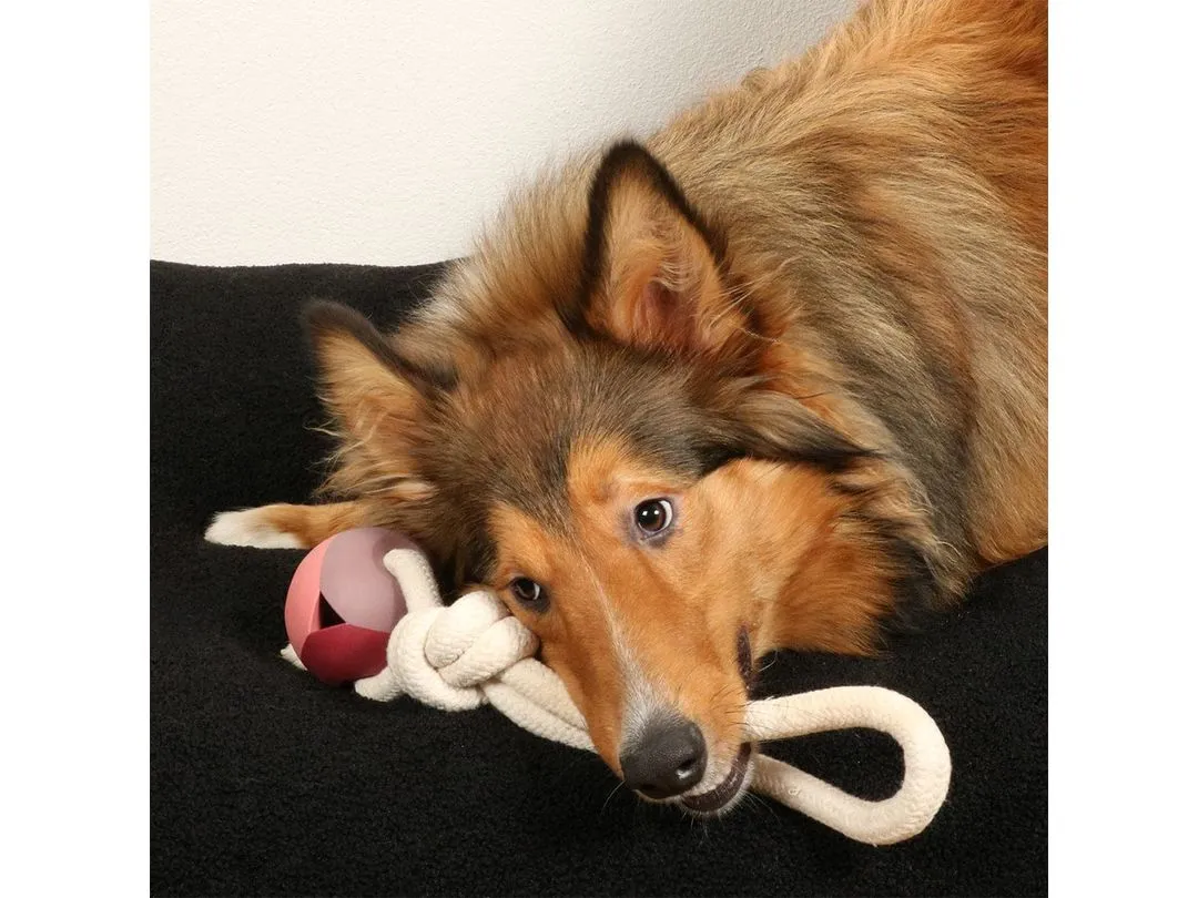 Nora Rosewood Dog Toy Pink