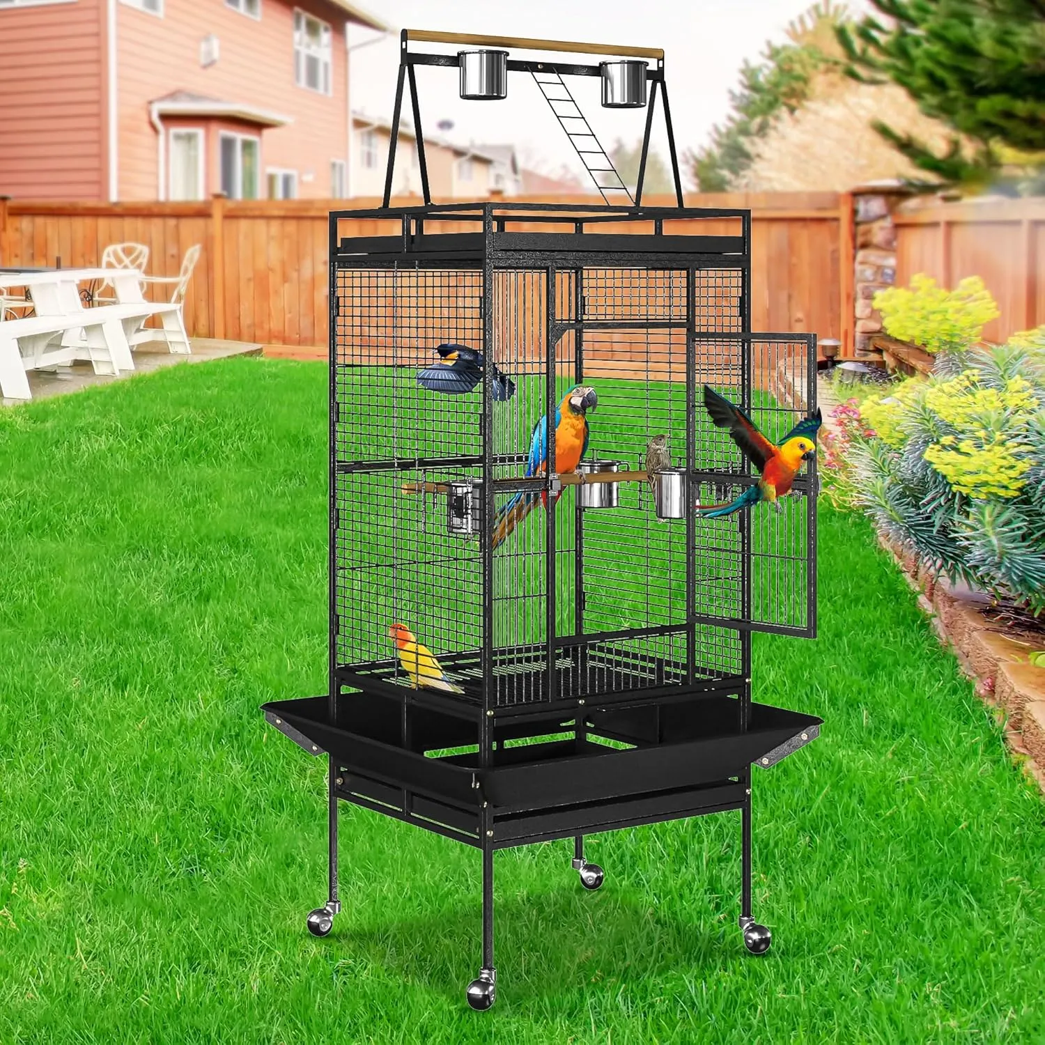 Nova Microdermabrasion 68-Inch Height Wrought Iron Standing Large Play Top Bird Cage for African Grey Small Quaker Parrot Cockatiel Sun Parakeet Green Cheek Conure Dove Budgie Lovebird