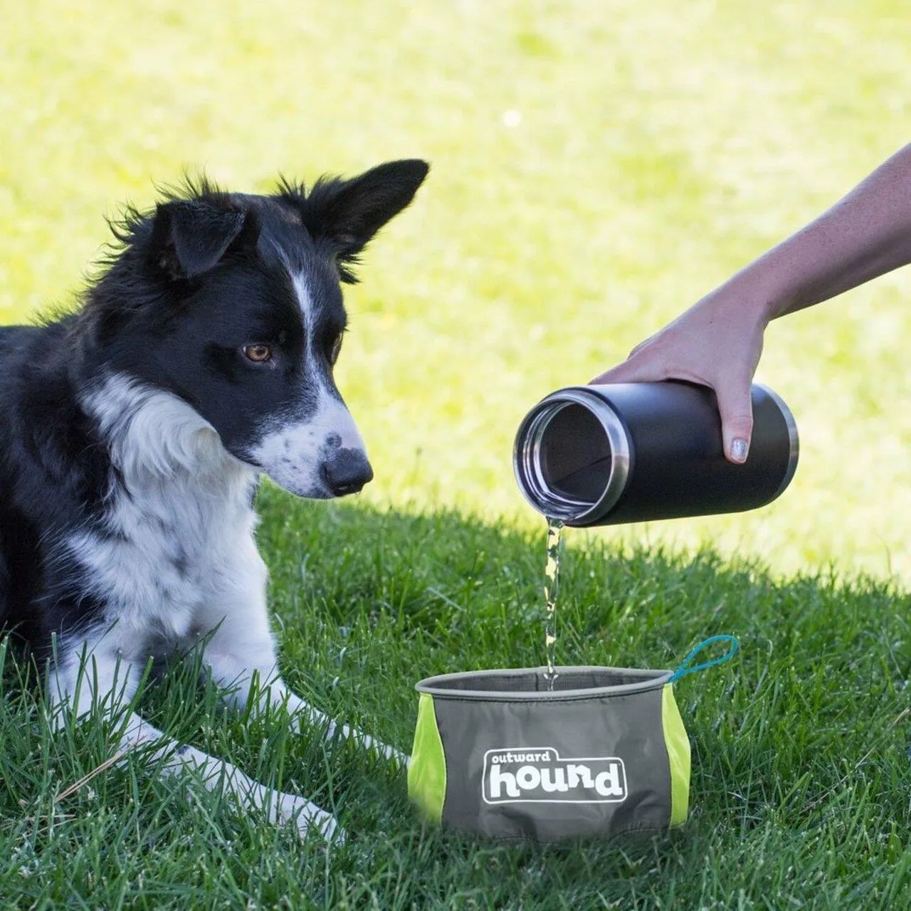 Outward Hound Port-A-Bowl - Packable Travel Bowl
