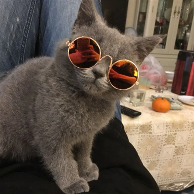 Pawnnies Rose/Green Sunglasses