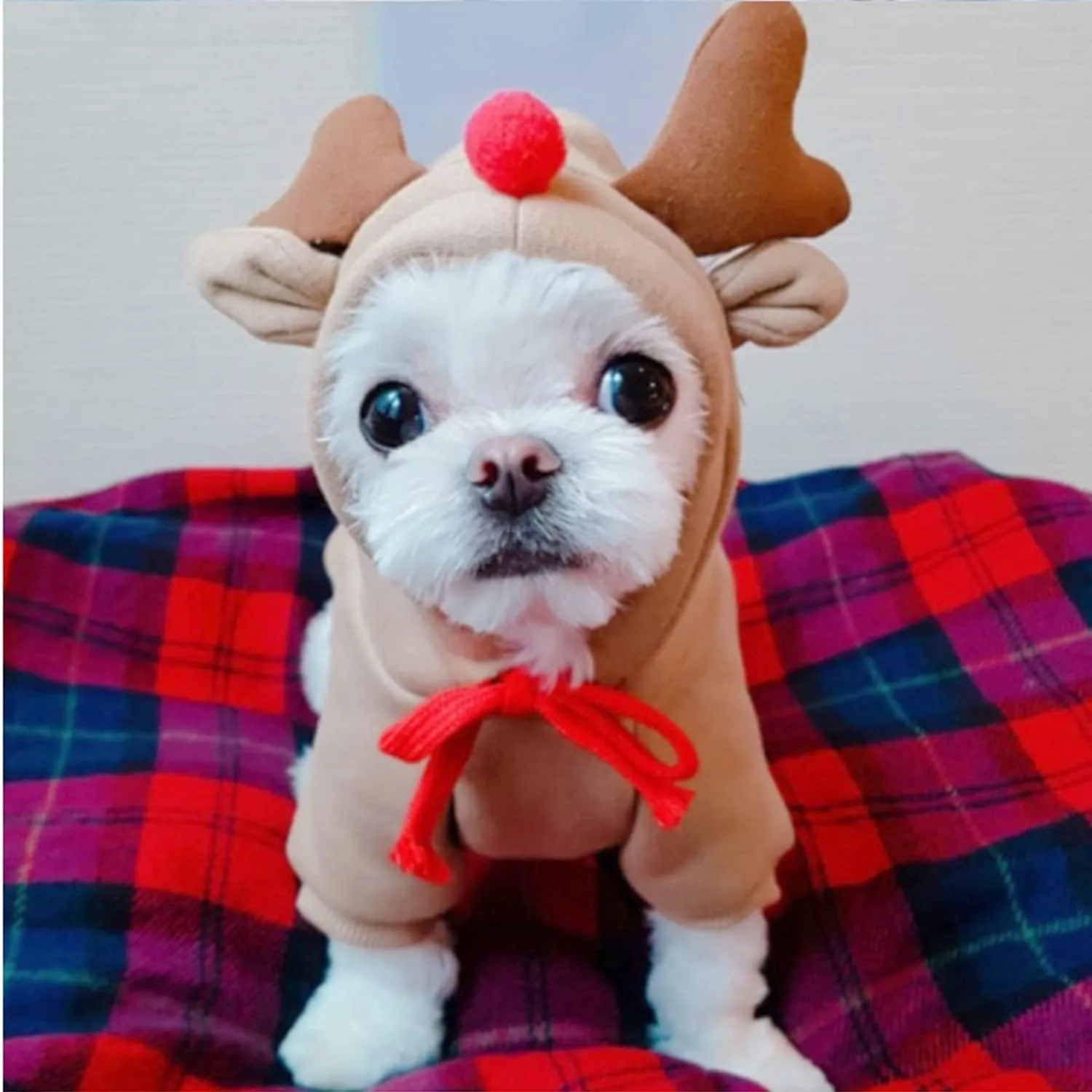 Pet Clothes Dogs Hoodie Sweatshirt - Elk Fruit Shape Cold Weather Clothes Costume Outfit for Puppy Cats Small MediumDog (Small)