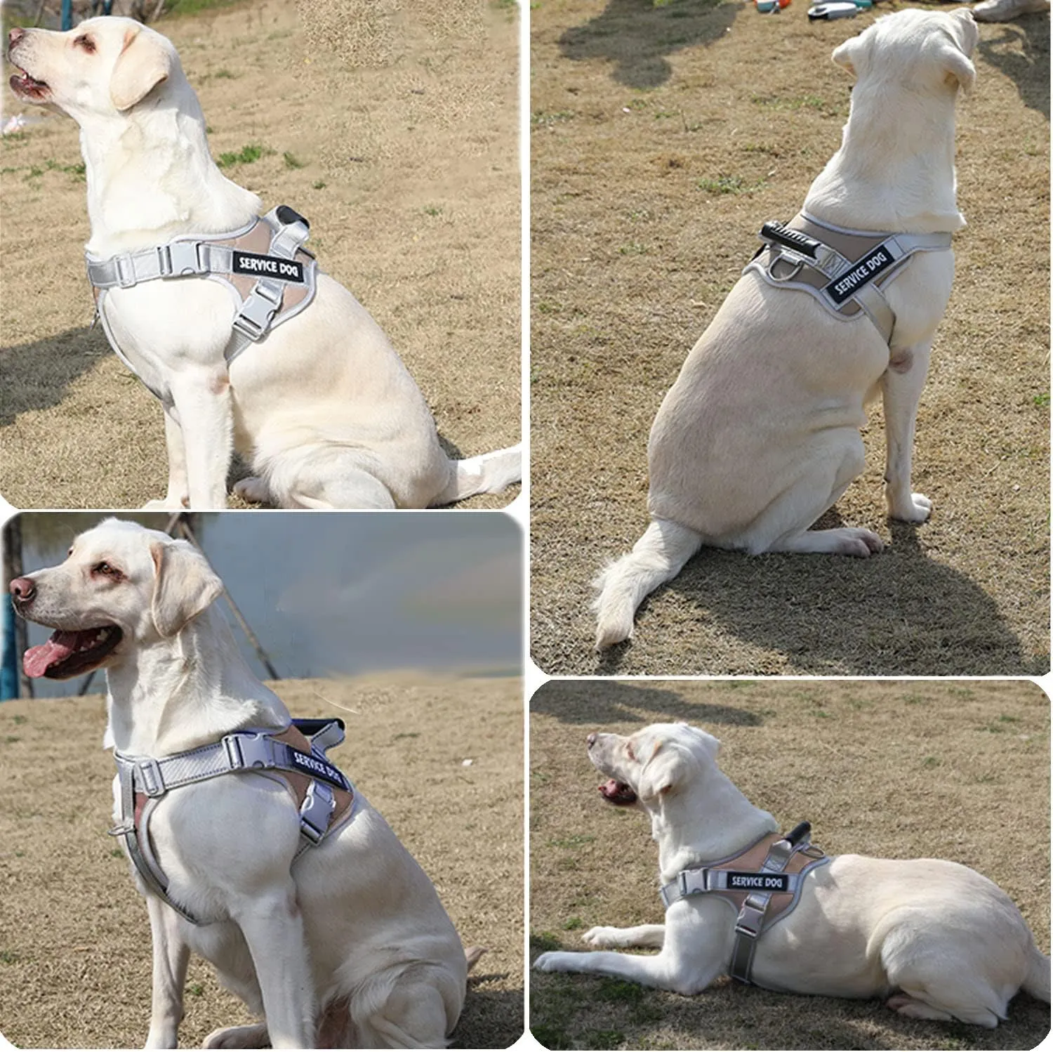 Service Dog Vest,No Pull in Training Service Dog Harness and 5FT Dog Leash Set, Adjustable 3M Reflective Nylon Pet Dog Vest with Handle,Easy Control for Small Medium Large Dogs(XL,Khaki)