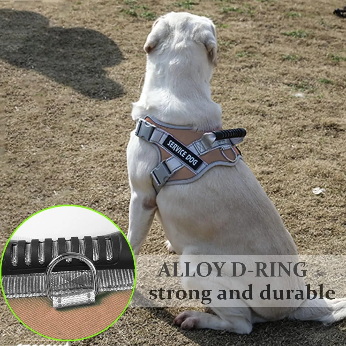 Service Dog Vest,No Pull in Training Service Dog Harness and 5FT Dog Leash Set, Adjustable 3M Reflective Nylon Pet Dog Vest with Handle,Easy Control for Small Medium Large Dogs(XL,Khaki)