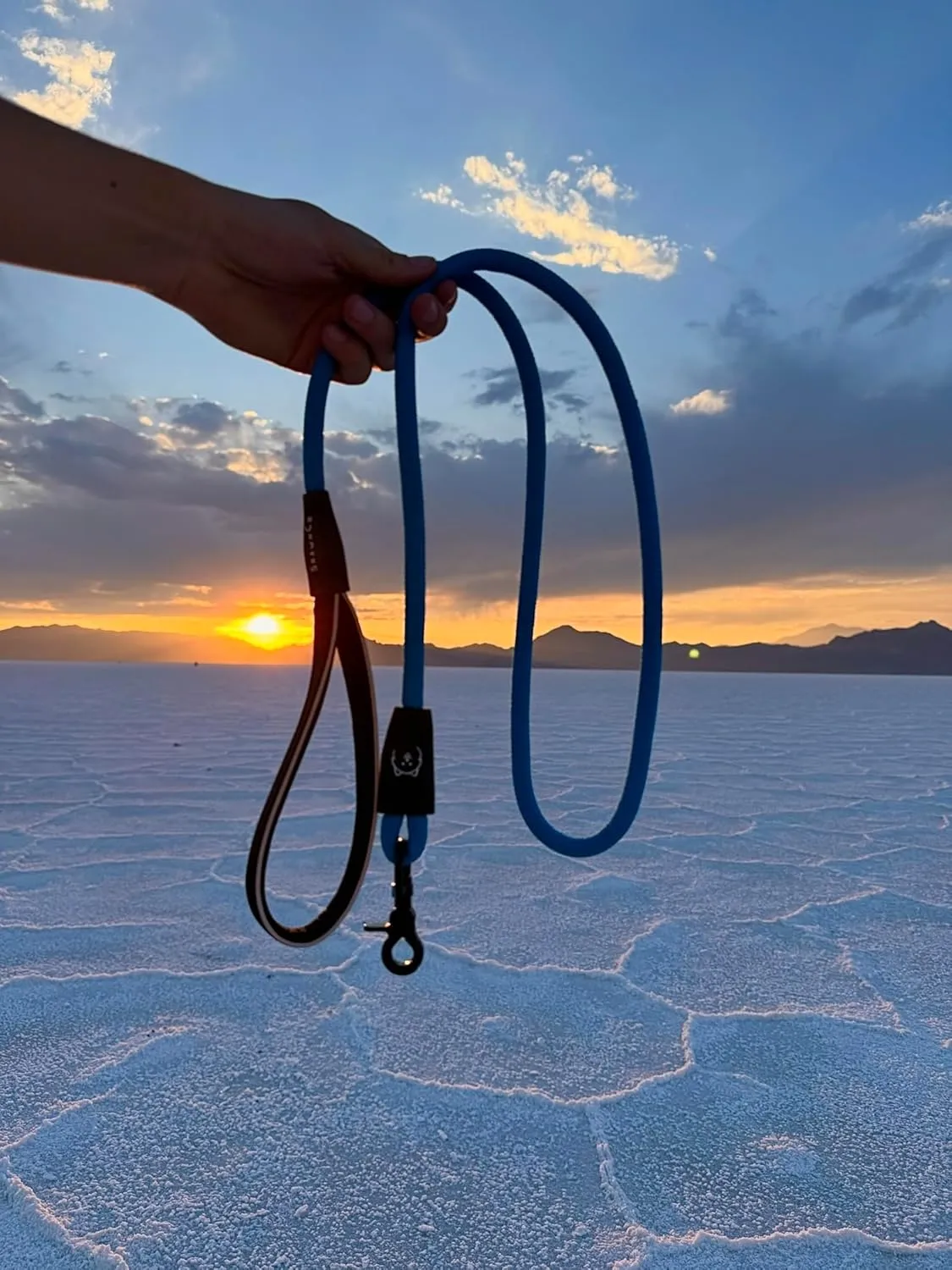 ShawnCo Basecamp Rope Dog Leash- Premium, Durable Pet Leash with Soft Neoprene Padded, Reflective Handle for Small, Medium and Large Dogs (Orchid, 6 Feet)