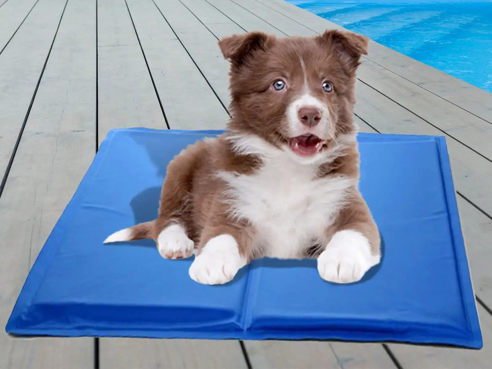 Sprint industries pet reusable cooling gel pad mat dogs cats