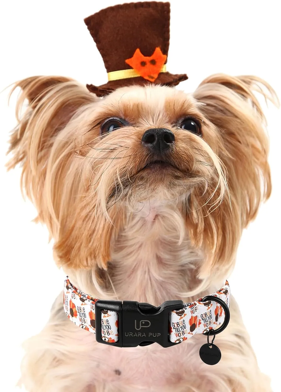 Thanksgiving Dog Collar, Turkey Cotton for Dog or Cat, Autumn Puppy With Lightweight Plastic Buckle, Great Gift for Girl Boy Dogs, L