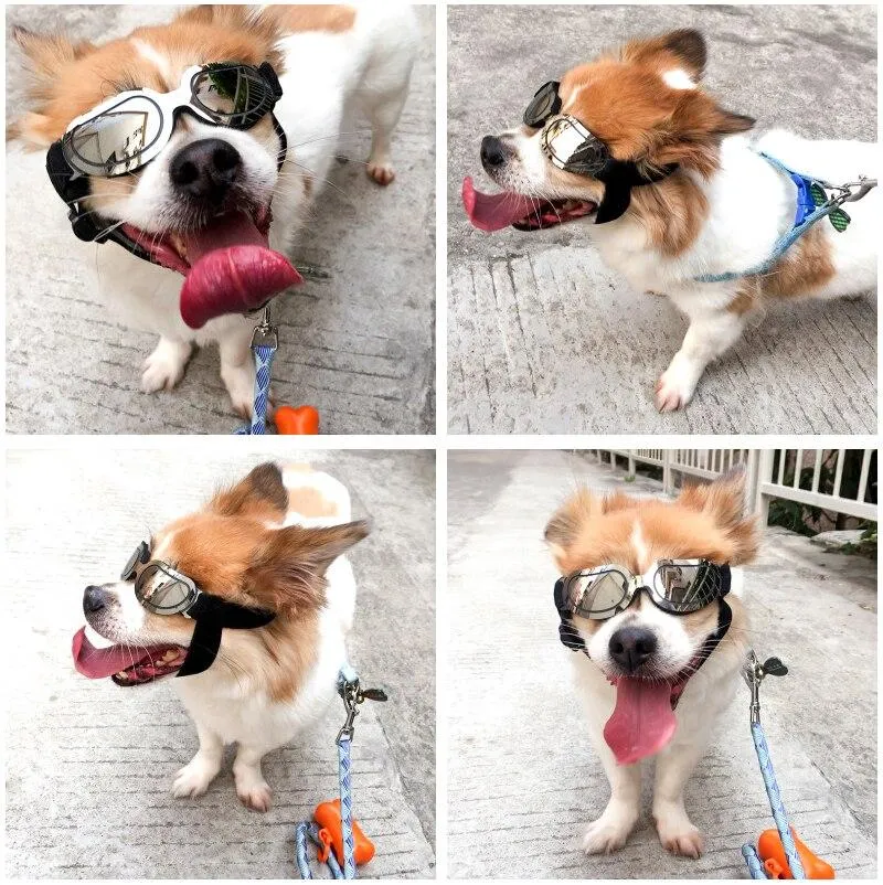 TINGHAO Eye Goggles For Dogs