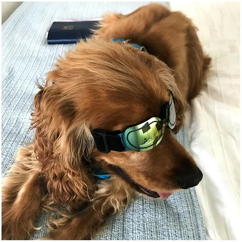 TINGHAO Eye Goggles For Dogs