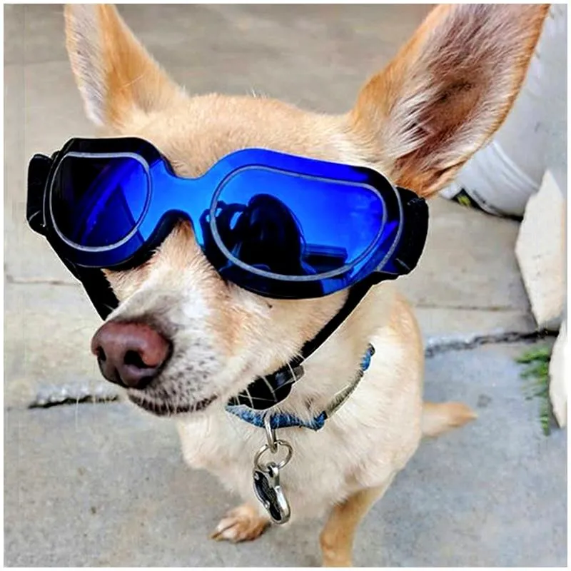 TINGHAO Eye Goggles For Dogs