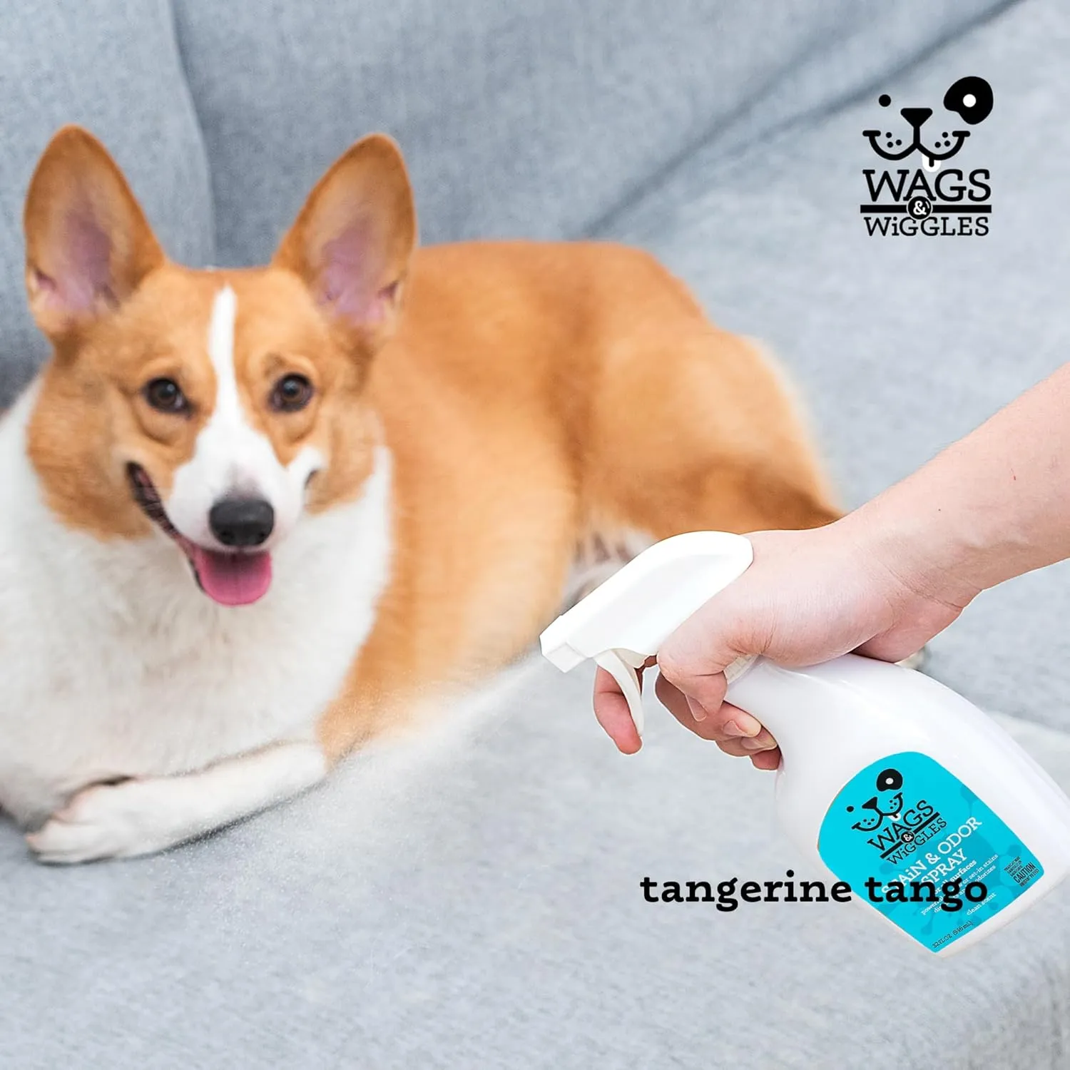 Wags & Wiggles Stain & Odor Spray, 32oz - Pet Carpet Cleaner for Stains, Oxygen-Powered Cleaner for Dog & Cat Urine, Carpet Stain Remover & Deodorizer with Clean Scent, Pet Odor Eliminator for Home